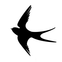 Soaring Wealth LLC Logo