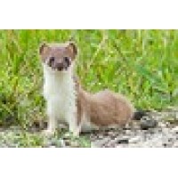 Caspar Huurdeman Fotografie Logo