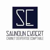 Sahnoun Expert Logo