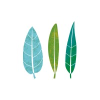 Environment Education Victoria Logo