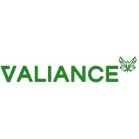 Valiance B.V. / S.R.L. Logo