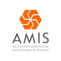 AMIS Logo