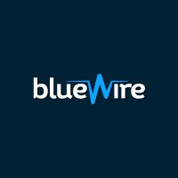 Blue Wire Logo