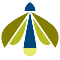 Flywire Technology Logo