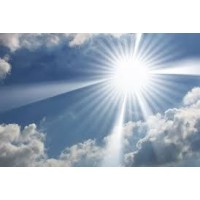 New Light (HR) Management Consultancy LLC Logo