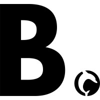 Brandoozle Logo