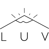 Light Up Ventures Logo