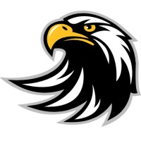 David Steel Co., Ltd Logo