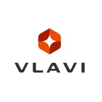VLAVI Group Logo