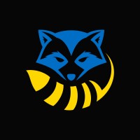 Raccoon LLC Logo