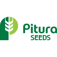 Pitura Seeds Logo