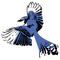 blueJay aerotech solutions Logo