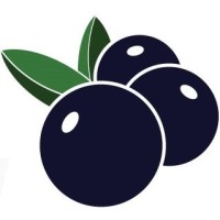 BidBerry Logo
