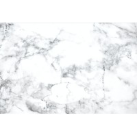 Evo Marble Logo