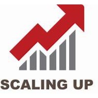 Creative Business Scaling Logo