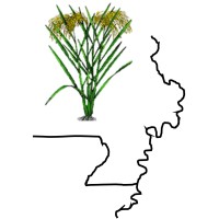 MOARK Agricultural Research, LLC Logo
