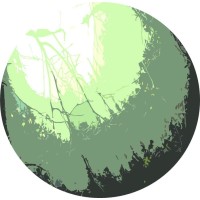 Coaching & Training Katrin Tazelaar Logo