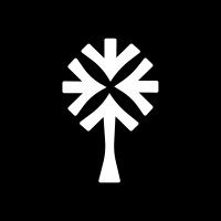 Paradise Media Logo