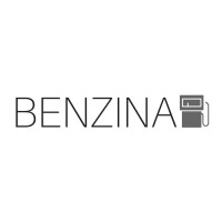 The Benzina Group Logo