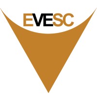 EVE Solutions Corporation Logo