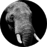 OPES TRUST Logo