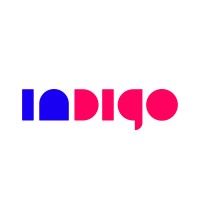 indigo online AG Logo