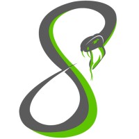 Serpentine AI Logo