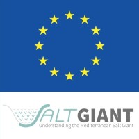ETN SaltGiant Logo