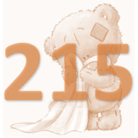 FoxWise Technologies Inc. Logo