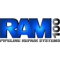 RAM-100 DEL SURESTE, S.A. DE C.V. Logo