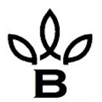 Ballygrove Stud Logo