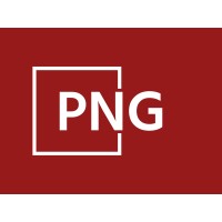 PNG Consulting Services Logo