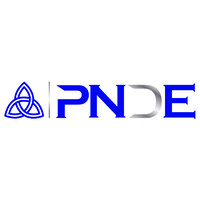 Professional NDE Services Logo