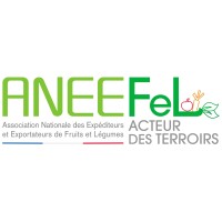 ANEEFEL Logo
