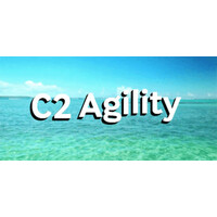Crystal Clear Agility Logo
