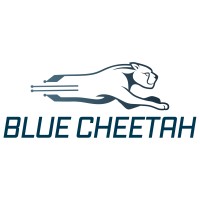 Blue Cheetah Analog Design, Inc. Logo