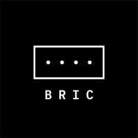 BRIC Foundation Logo
