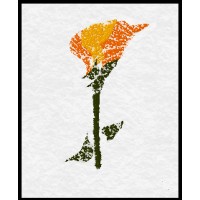 Golden Poppy Inc., Logo