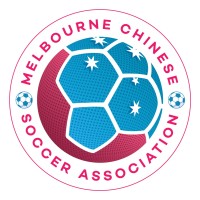 MCSA Logo