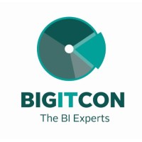 Bigitcon Ltd Logo