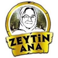 Zeytin Ana Logo