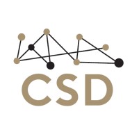 CSD srl Logo