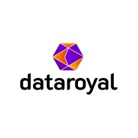 Data Royal Logo