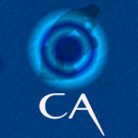 The Concept Architect Logo