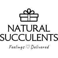 Natural Succulents Logo