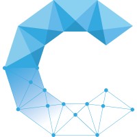 Collision Analytics LLC Logo