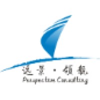 Perspective Consulting LLC Logo