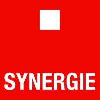 Synergie Suisse Logo