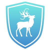 Cyber Chasse Inc Logo