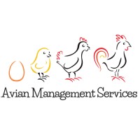 Avian Management Services- AMS Logo